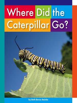 cover image of Where Did the Caterpillar Go?